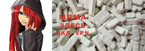 шишки Тавда