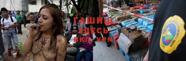 шишки Тавда